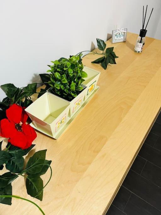 Apartamento Favoloso Appartamento, 10 Minuti Dal Centro *